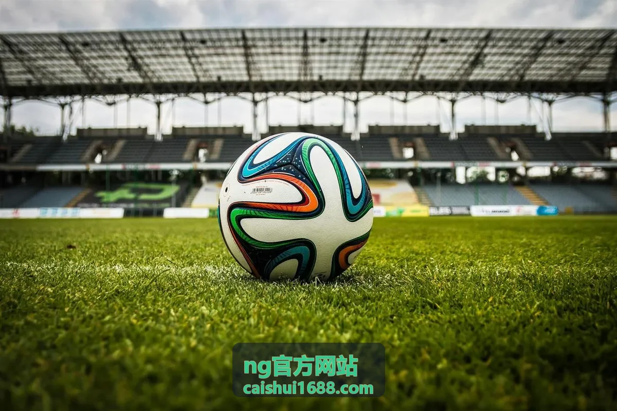 NG官方网站增值税与附加税费申报