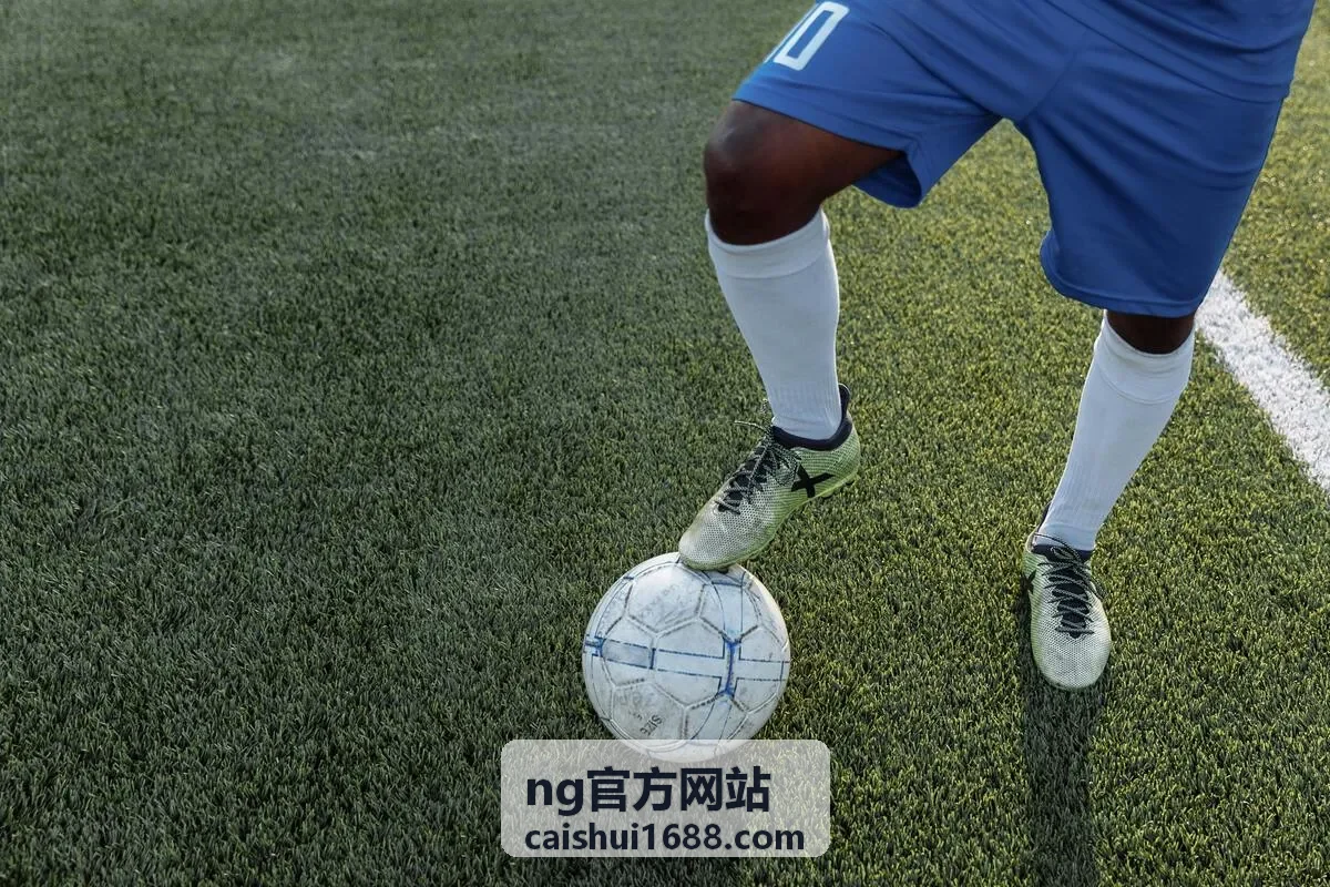 NG官方网站小微企业税收优惠适用核查