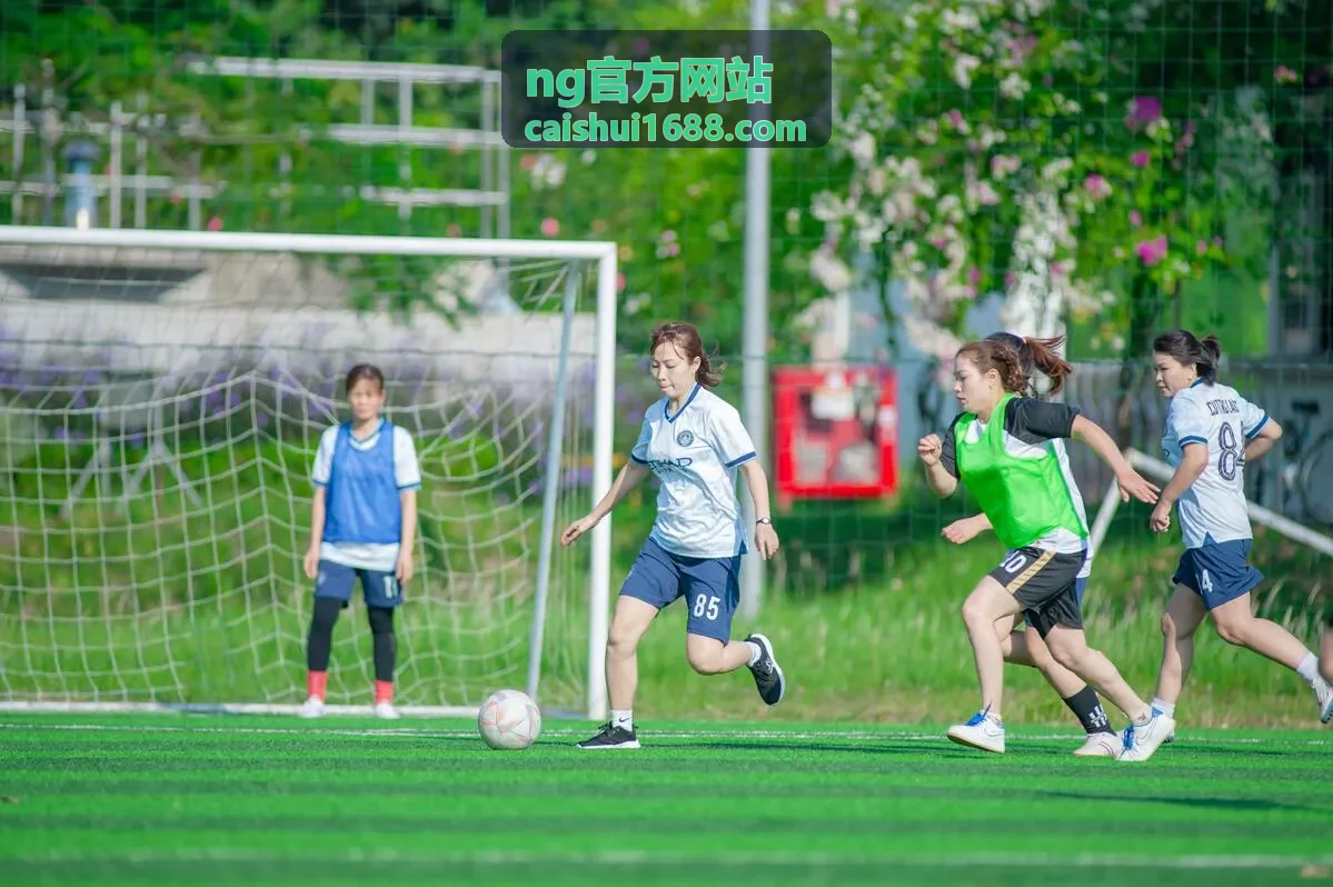 NG官方网站分支机构设立与备案办理